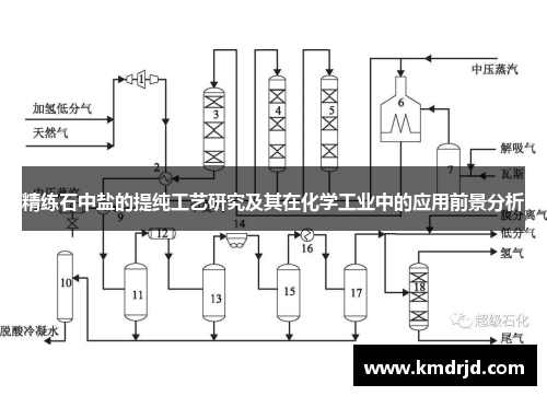 精练石中盐的提纯工艺研究及其在化学工业中的应用前景分析
